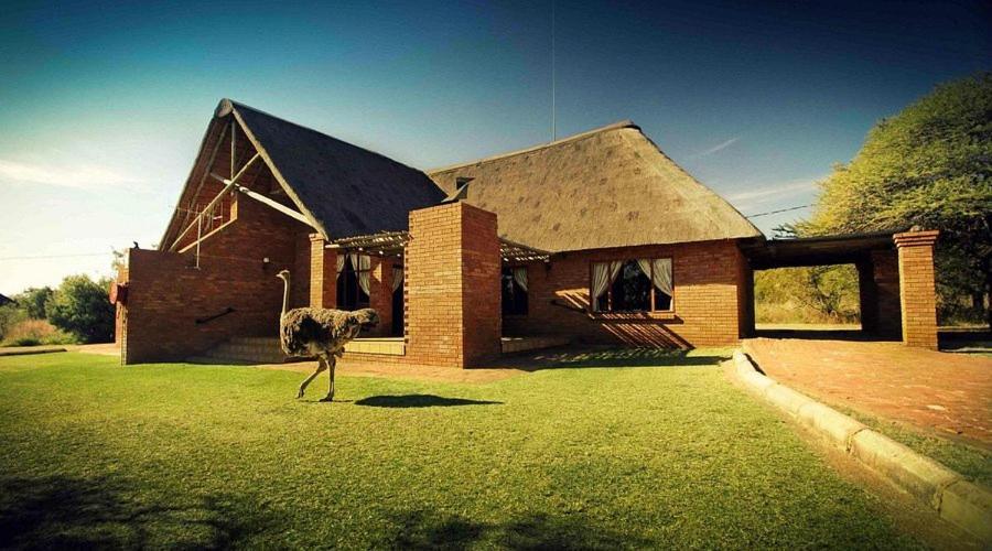 Monateng Safari Lodge Wallmannstal Экстерьер фото